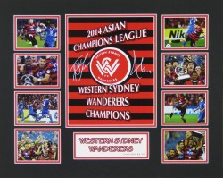 2014 Asian Champions League by Champions